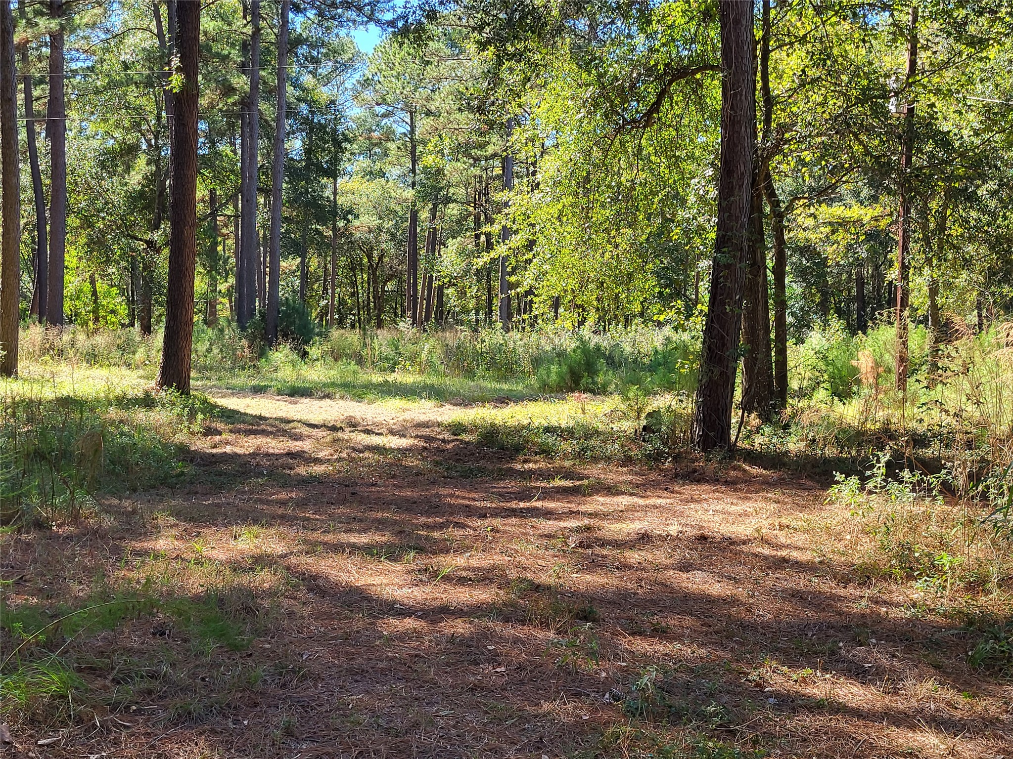 500 South Pine Lake Road Montgomery, TX 77316 - Photo 26 of 38 a fire hydrant in the middle of a field
