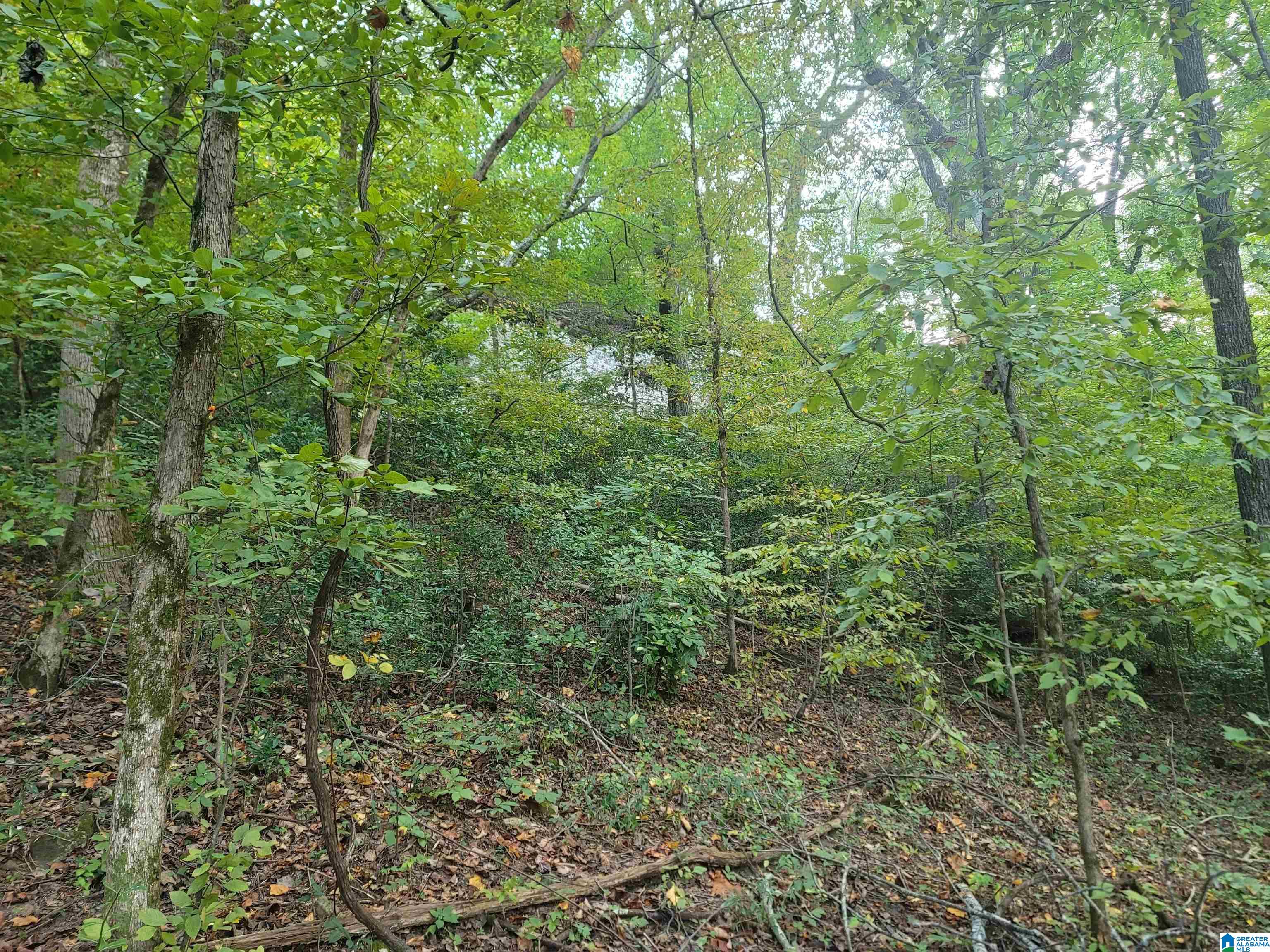 754 Shades Crest Road, Unit 1 Birmingham, AL 35226 - Photo 4 of 8