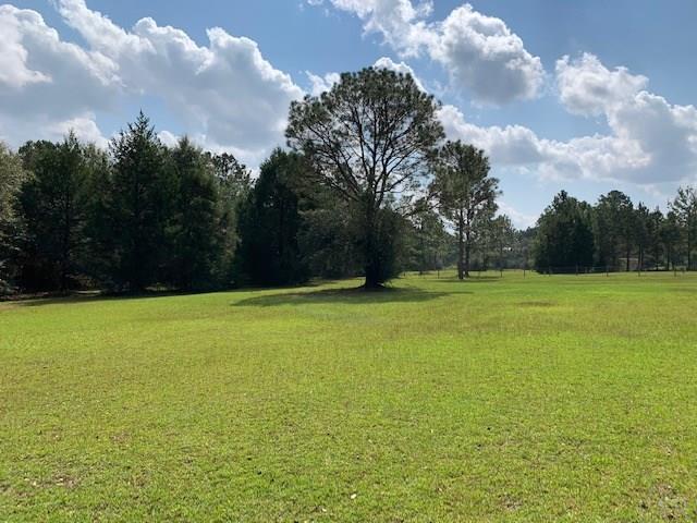 8029 Malone Road Milton, FL 32570 - Photo 1 of 20 Gallery Image 1