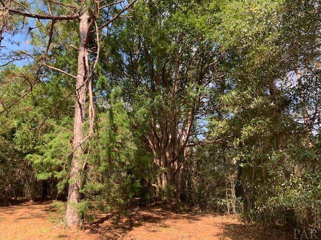 8029 Malone Road Milton, FL 32570 - Photo 13 of 20 Gallery Image 13