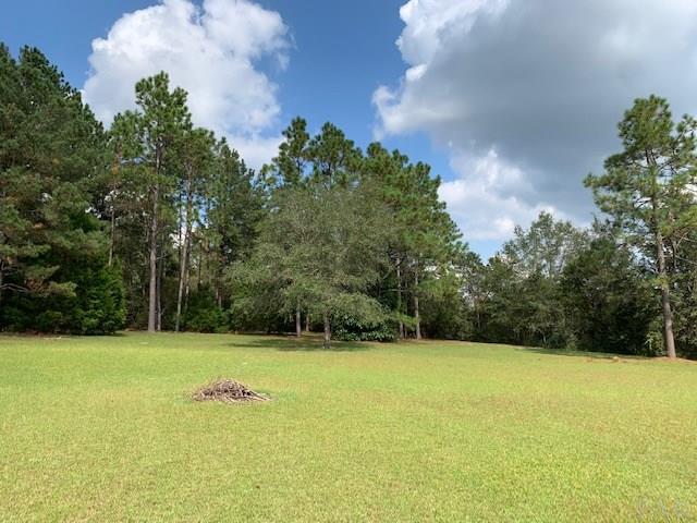 8029 Malone Road Milton, FL 32570 - Photo 8 of 20 Gallery Image 8