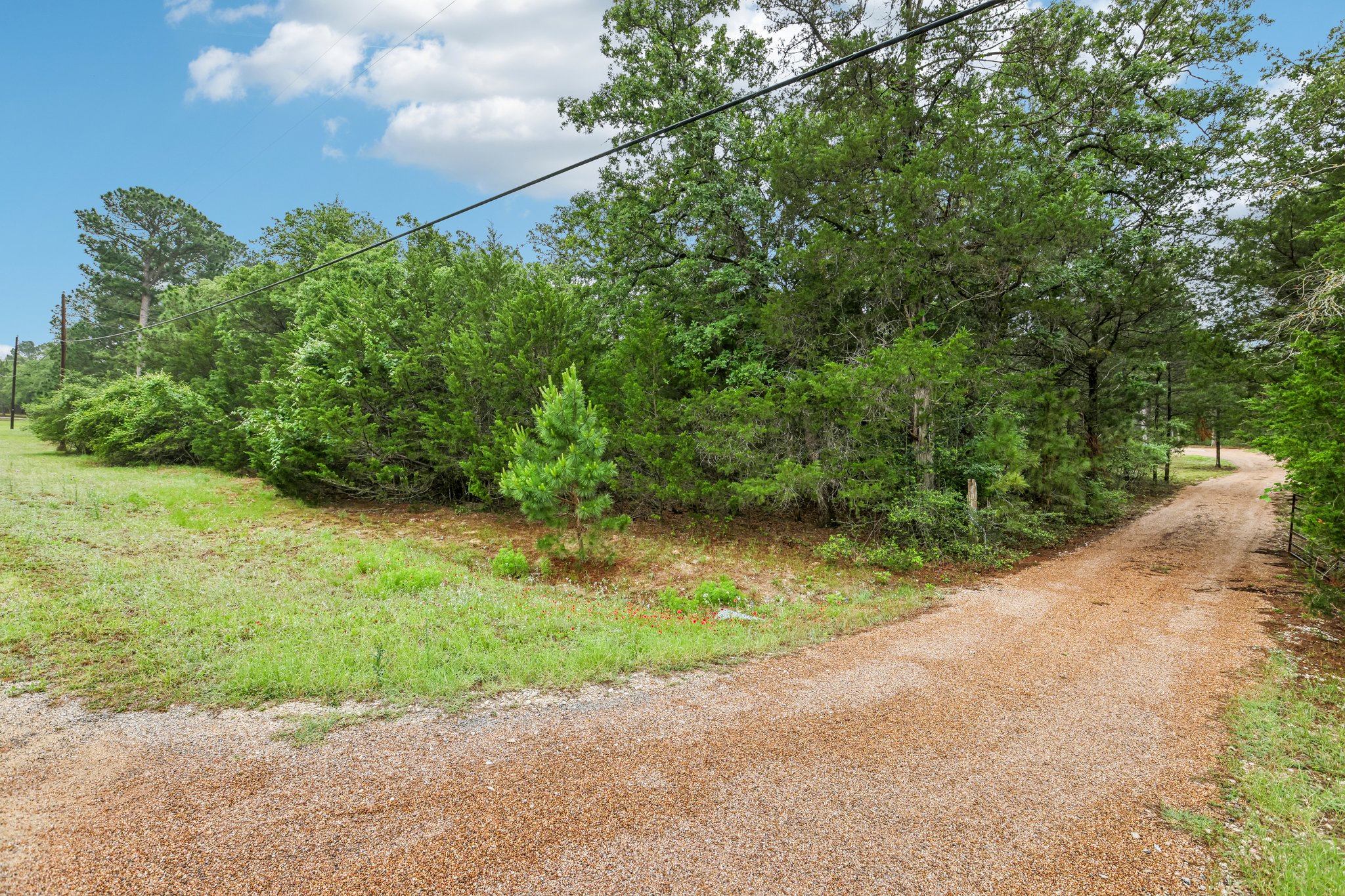 267 Corral Road Smithville, TX 78957 - Photo 8 of 40 Gravel driveways intersecting amidst a natural landscape featuring mature trees and lush ground cover