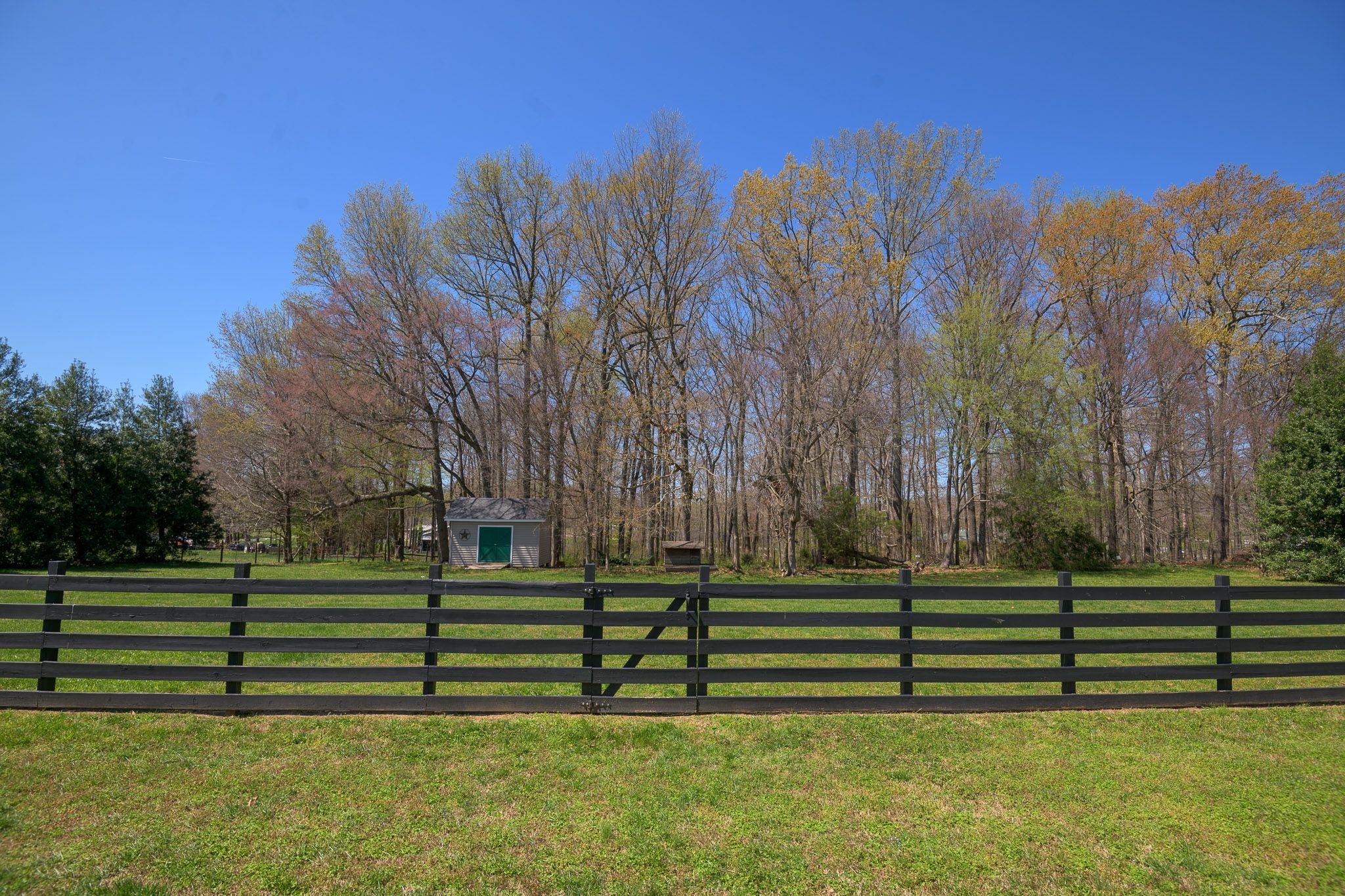 4165 Mt Zion Road Springfield, TN 37172 - Photo 12 of 42