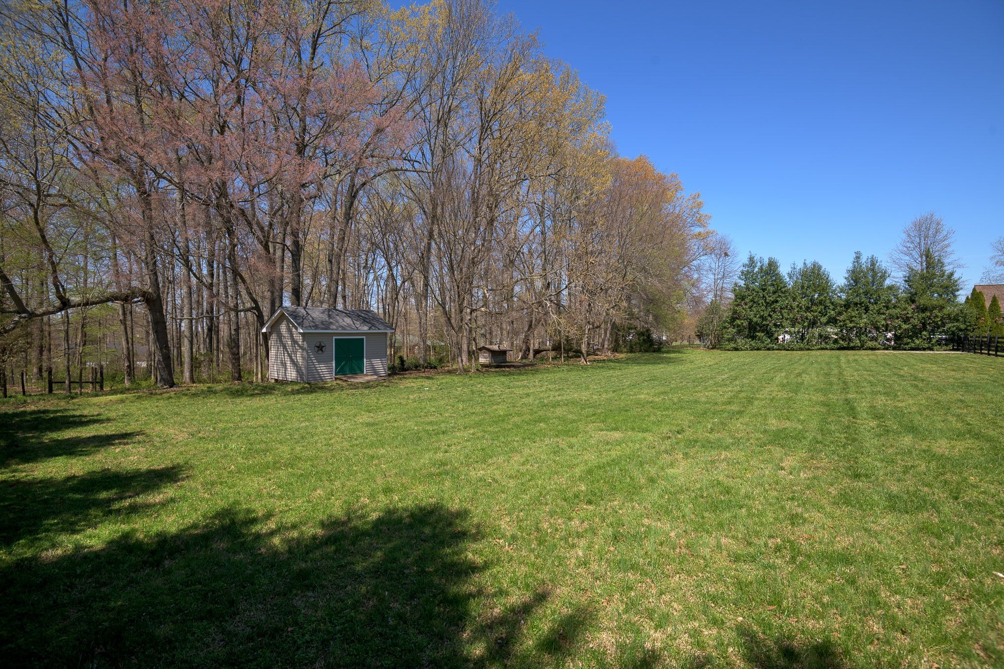 4165 Mt Zion Road Springfield, TN 37172 - Photo 14 of 42 a backyard of a house with lots of green space