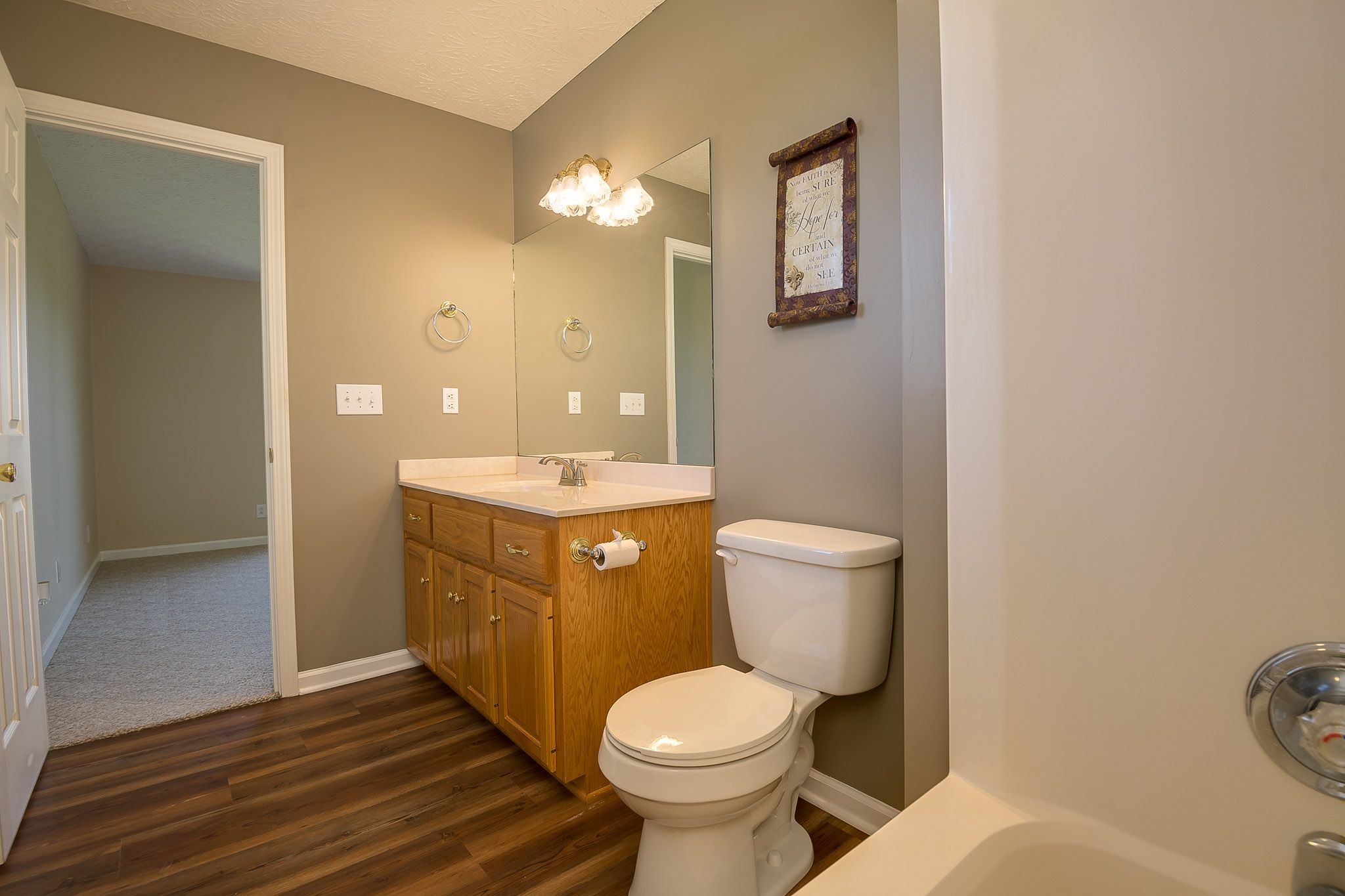 4165 Mt Zion Road Springfield, TN 37172 - Photo 33 of 42 a bathroom with a toilet sink and mirror