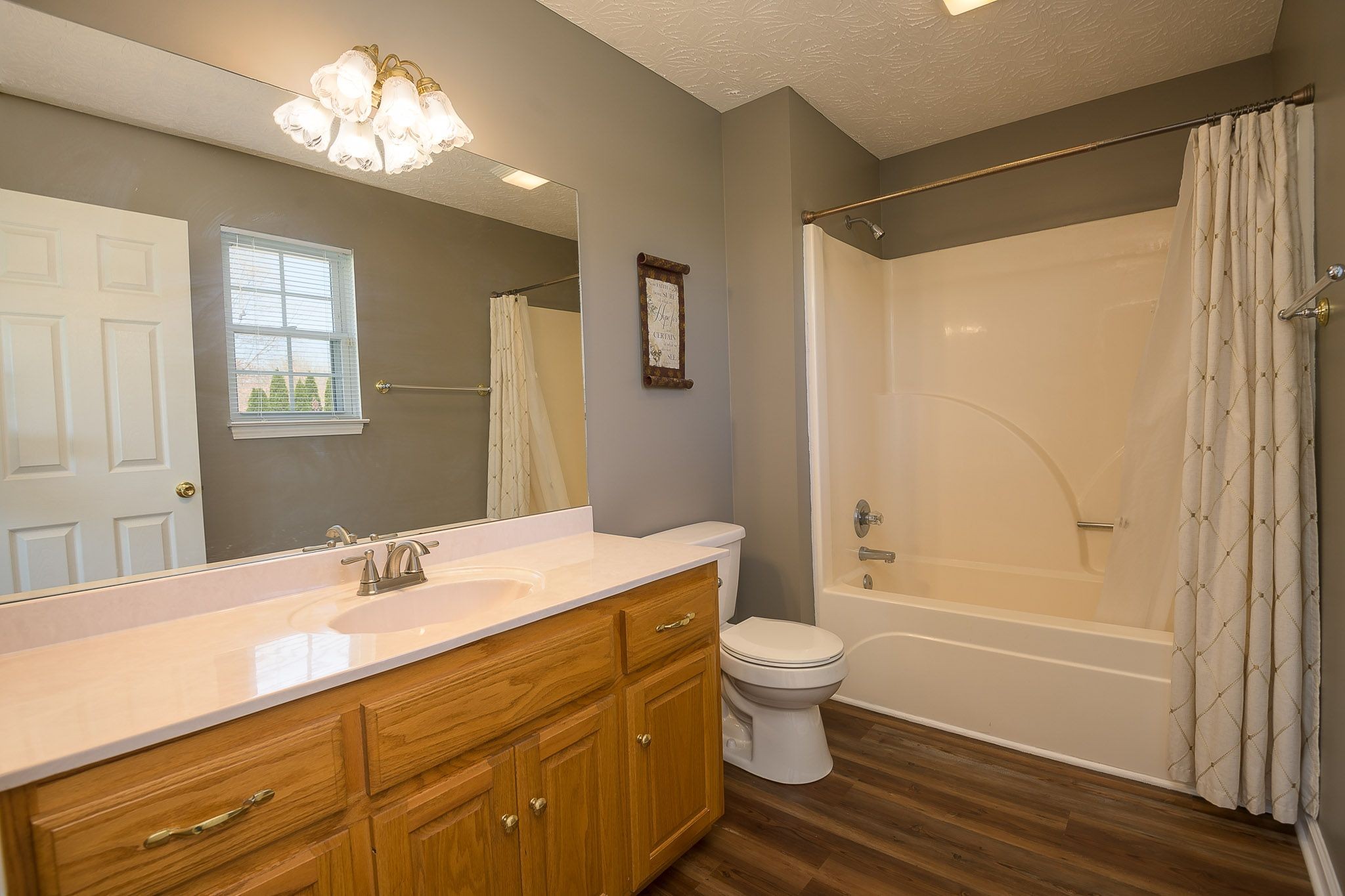 4165 Mt Zion Road Springfield, TN 37172 - Photo 34 of 42 a bathroom with a sink toilet a mirror and shower