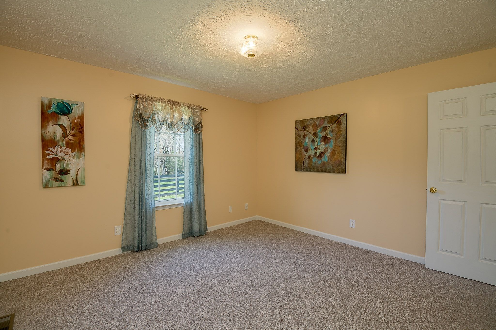 4165 Mt Zion Road Springfield, TN 37172 - Photo 36 of 42 an empty room with windows