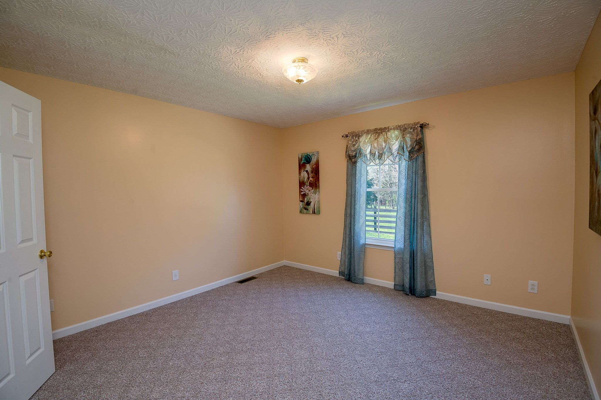 4165 Mt Zion Road Springfield, TN 37172 - Photo 37 of 42 an empty room with windows and closet