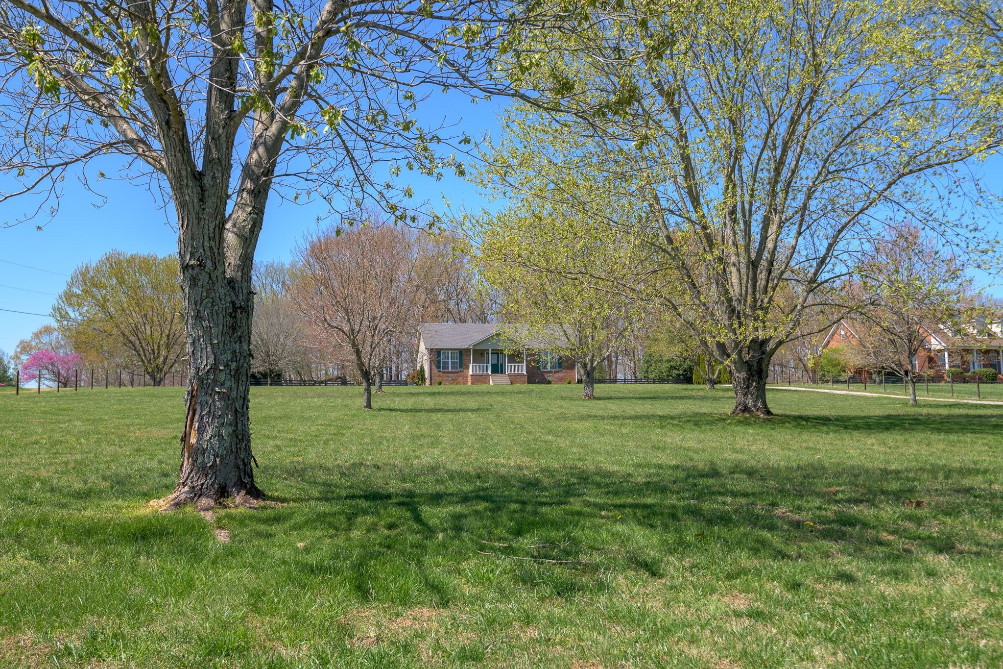 4165 Mt Zion Road Springfield, TN 37172 - Photo 5 of 42 a view of a trees in a yard