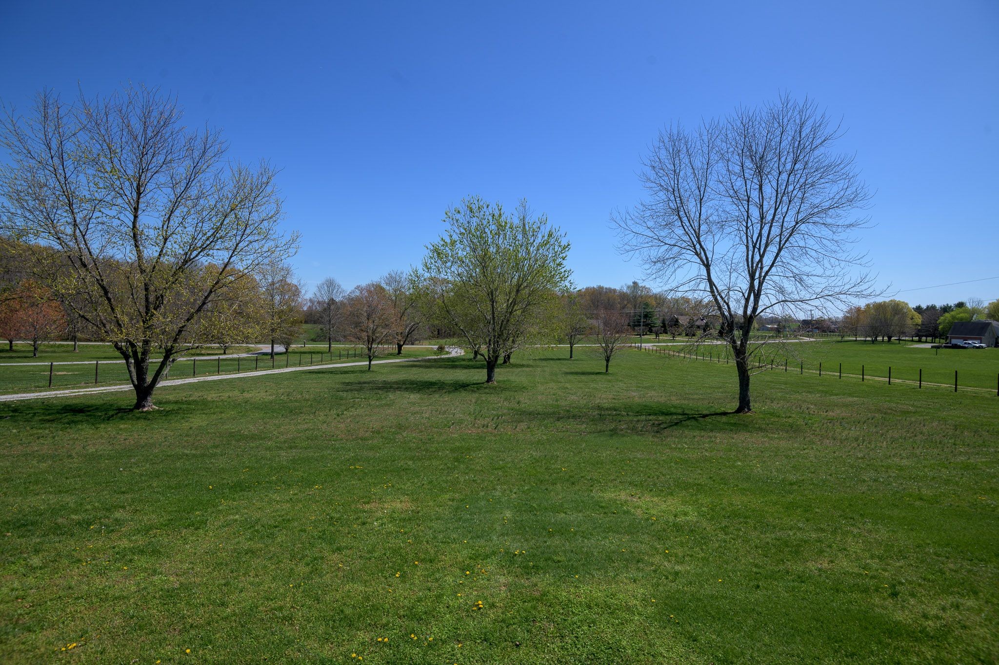 4165 Mt Zion Road Springfield, TN 37172 - Photo 10 of 42 a view of grassy field with trees