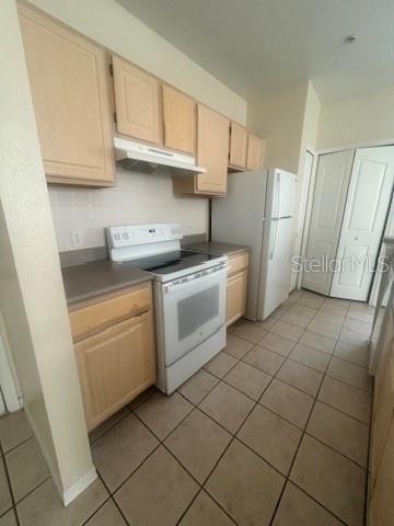 5807 Legacy Crescent Place, Unit 202 Riverview, FL 33578 - Photo 8 of 13 a kitchen with a stove top oven sink and cabinets
