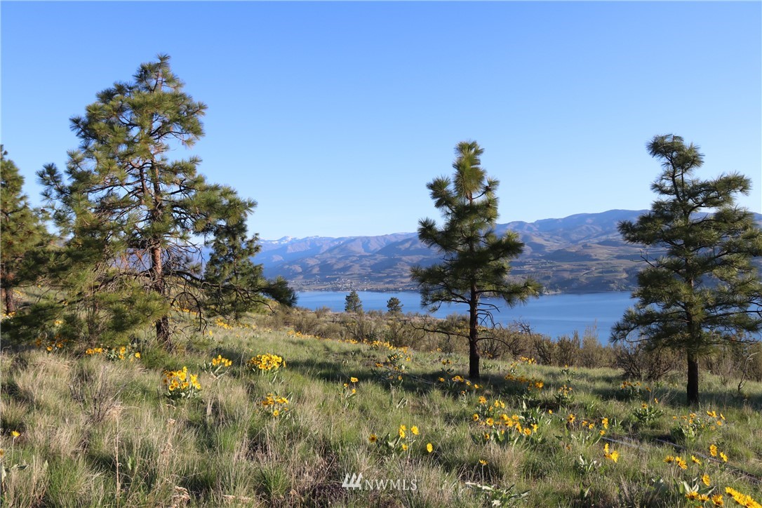 -nna Little Butte Ranch Road Chelan, WA 98816 - Photo 3 of 10 Gallery Image 3