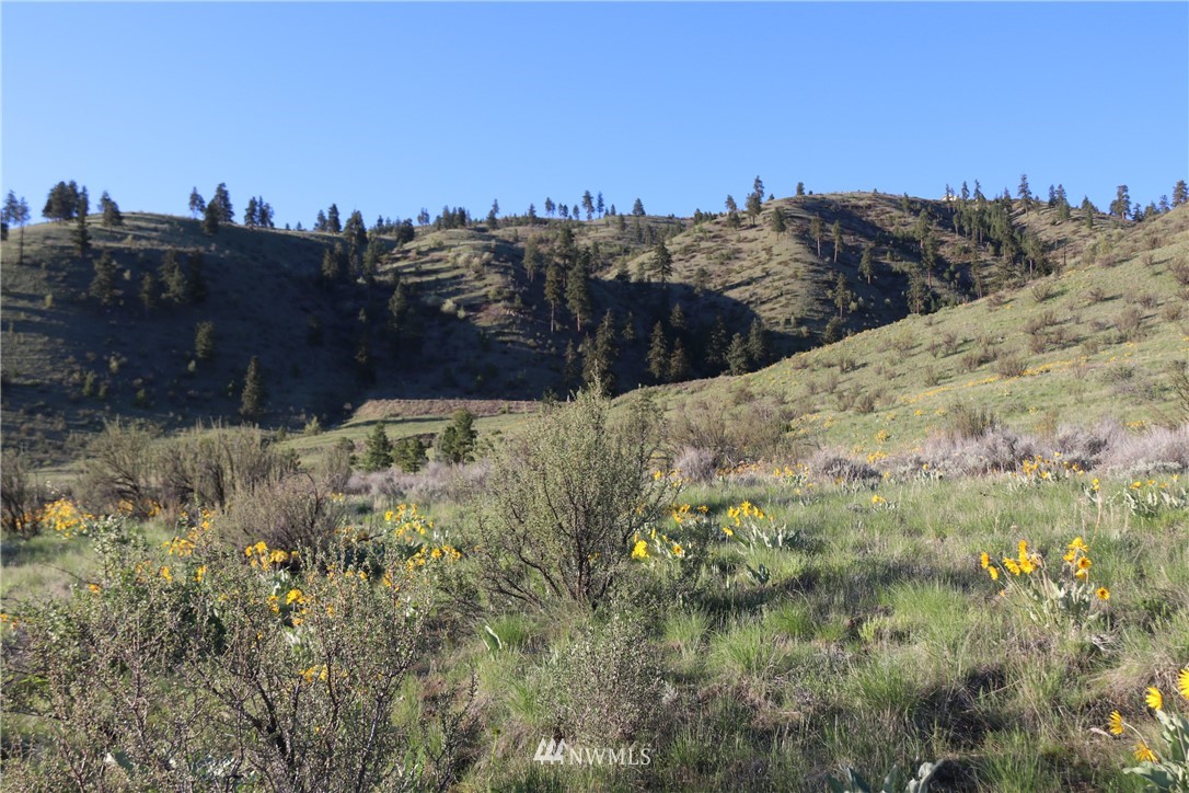 -nna Little Butte Ranch Road Chelan, WA 98816 - Photo 7 of 10 Gallery Image 7