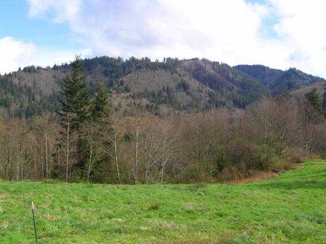Lot 40 Skyview Road Tillamook, OR 97141 - Photo 1 of 24 P3180255.JPG