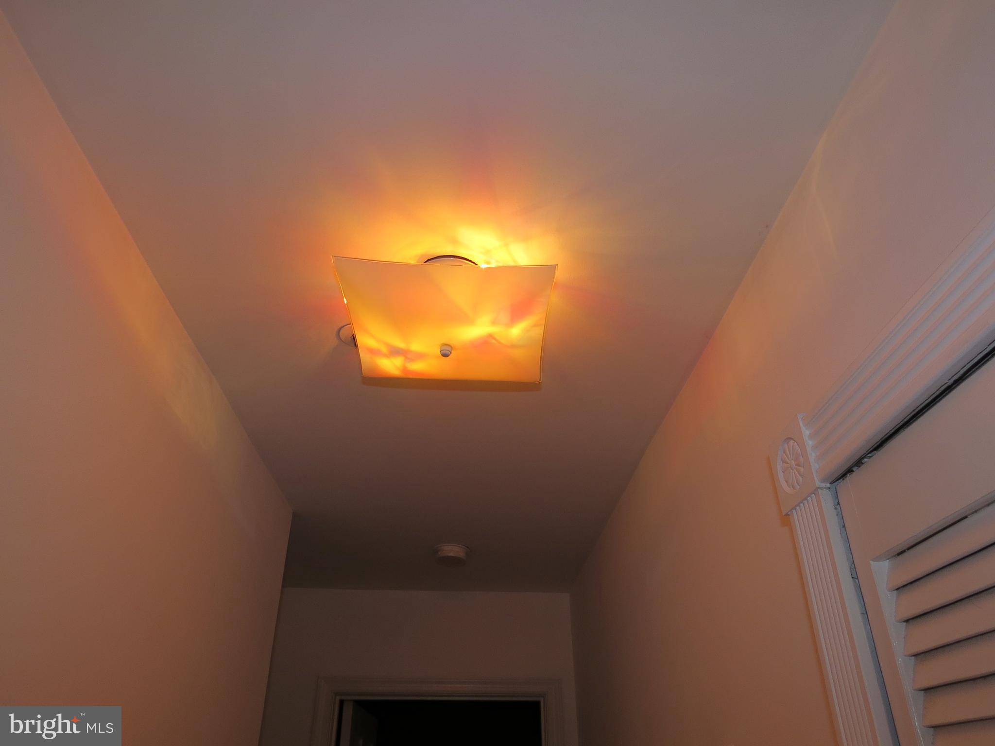 365 Pleasanton Road, Unit A11 Westminster, MD 21157 - Photo 14 of 43 Hall accent lighting