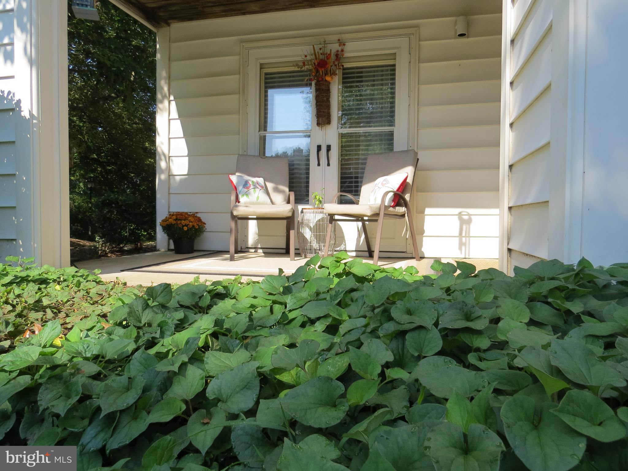 365 Pleasanton Road, Unit A11 Westminster, MD 21157 - Photo 40 of 43 patio