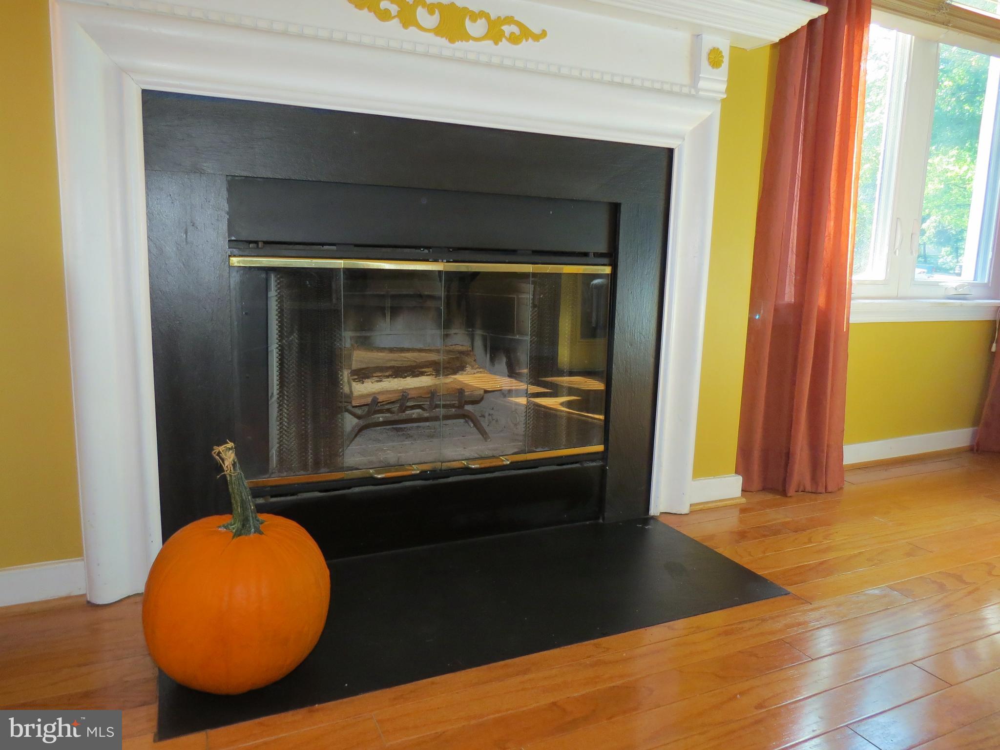 365 Pleasanton Road, Unit A11 Westminster, MD 21157 - Photo 8 of 43 wood burning fireplace is ready for fall