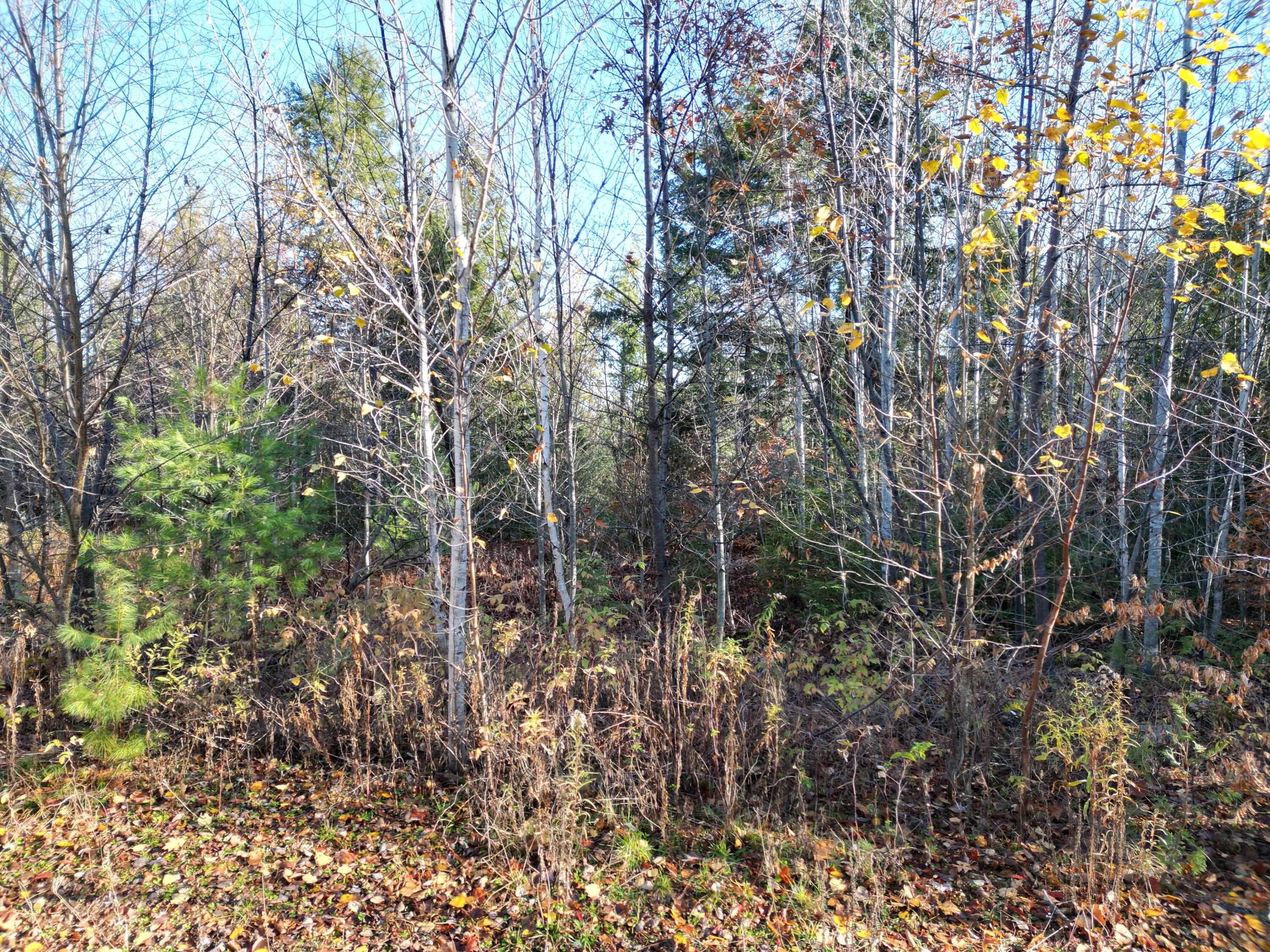Lot 18-1 Mattamiscontis Road Howland, ME 04448 - Photo 7 of 16 DJI_0084