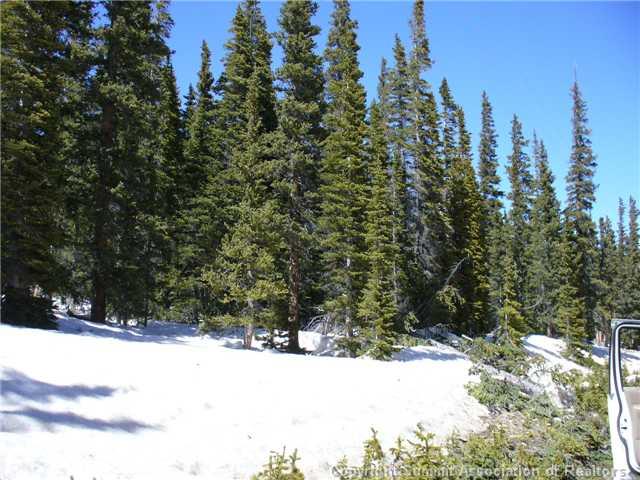 48 Rialto Road Fairplay, CO 80440 - Photo 2 of 3 Gallery Image 2