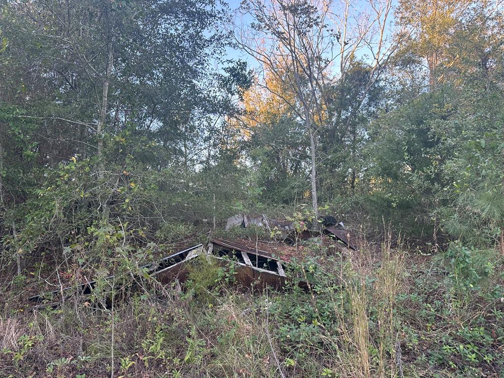 250 Adams Mill Road Clayton, AL 36016 - Photo 53 of 74