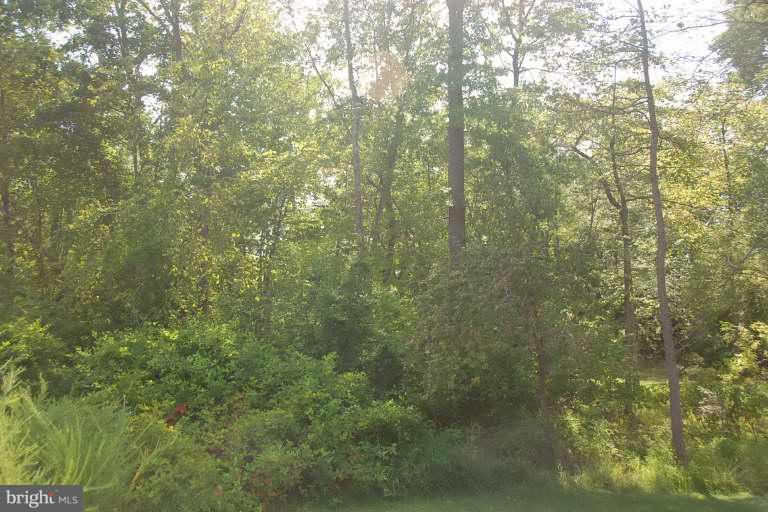 0 Old Bust Head Road Broad Run, VA 20137 - Photo 1 of 1 Exterior (Main)