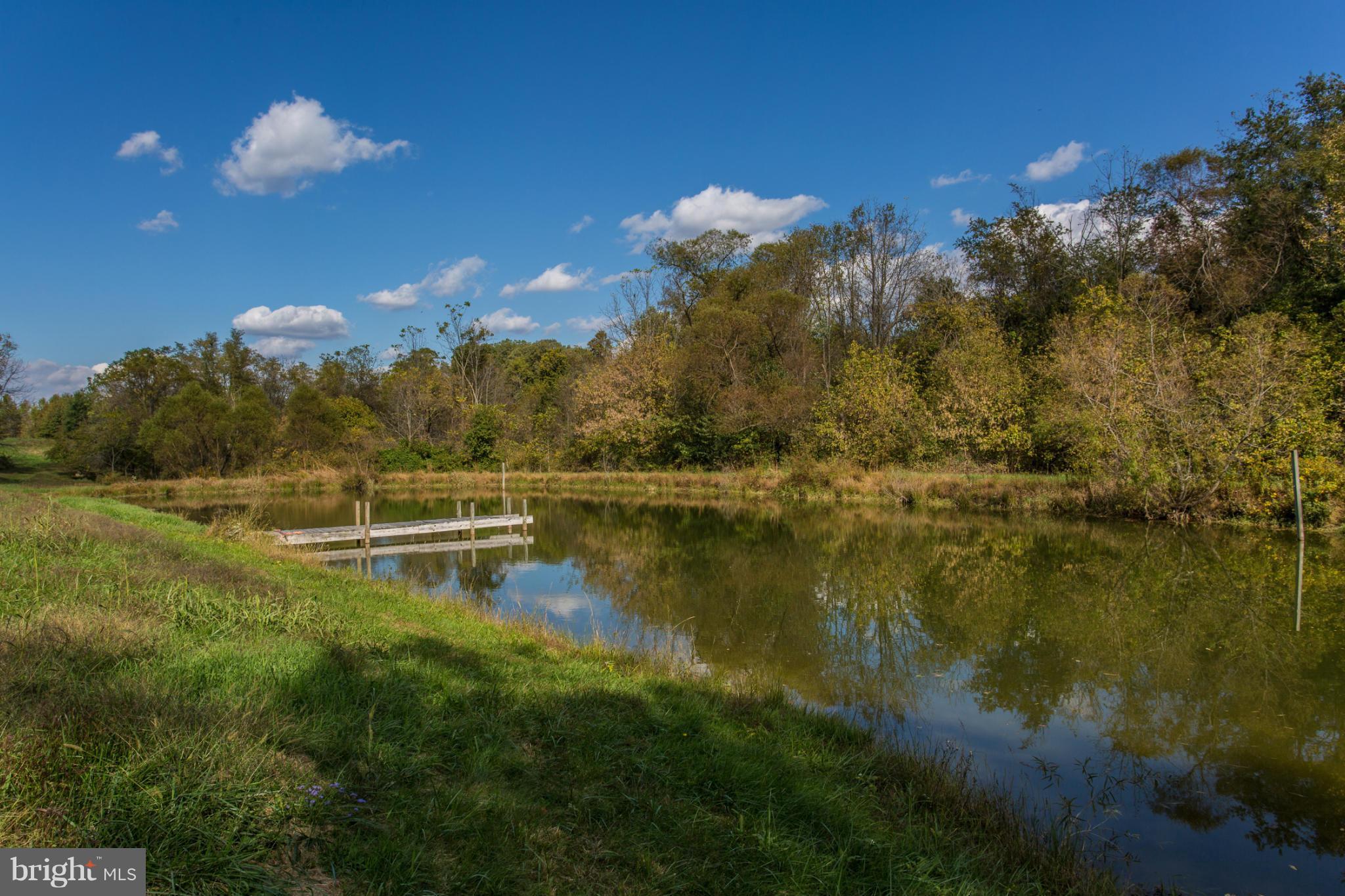 10999 Repp Road Union Bridge, MD 21791 - Photo 8 of 30 a view of a lake with a mountain