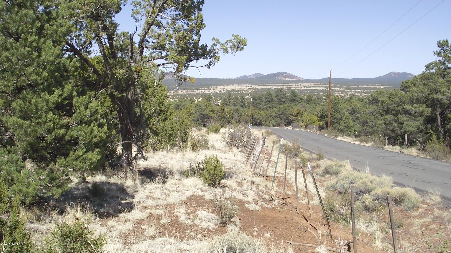 1 East Spring Valley Road Williams, AZ 86046 - Photo 5 of 6 DSCF0901