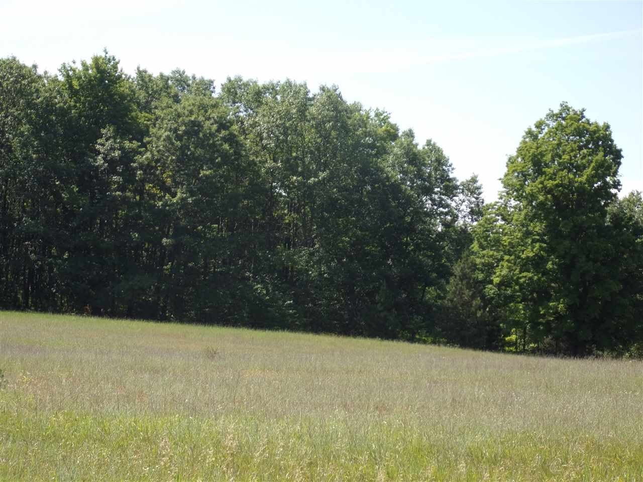 0 West Cutcheon Road Manton, MI 49663 - Photo 7 of 11 Gallery Image 7