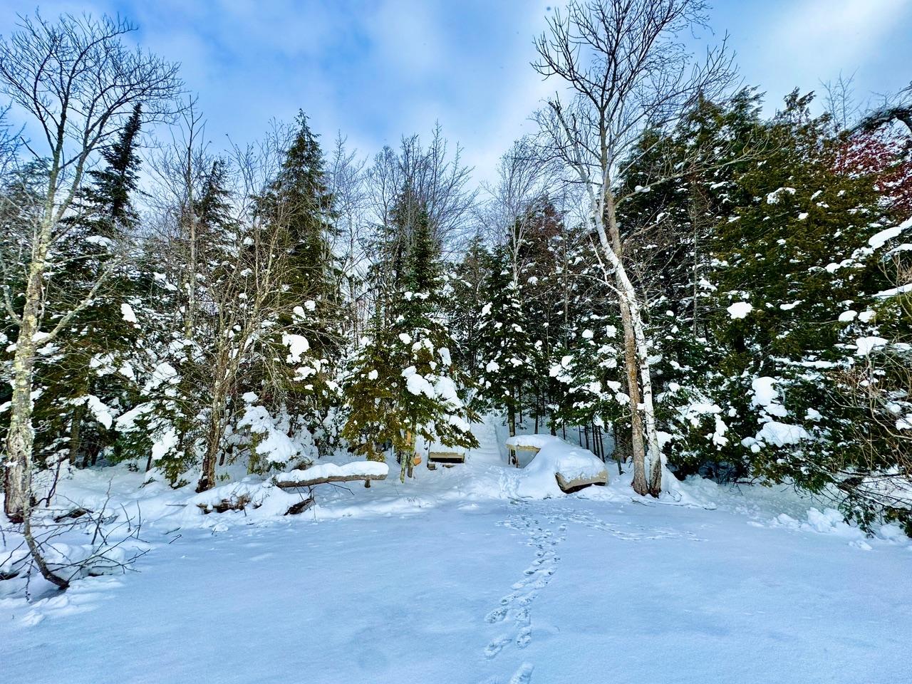 11327 Bartsch Road Presque Isle, WI 54557 - Photo 4 of 26 Gallery Image 4