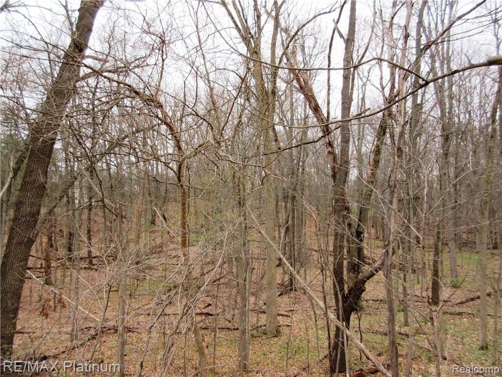 4 Welle Road Brighton, MI 48116 - Photo 6 of 8