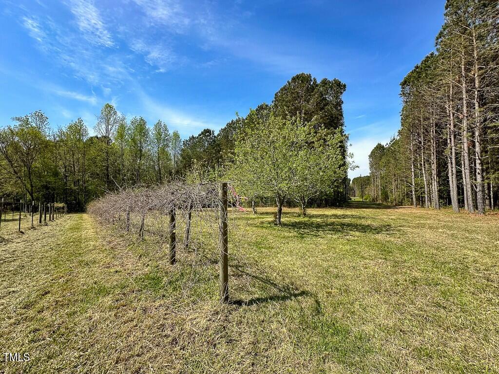 0 Rifle Range Road Warrenton, NC 27589 - Photo 4 of 38 tempImageTWe28O