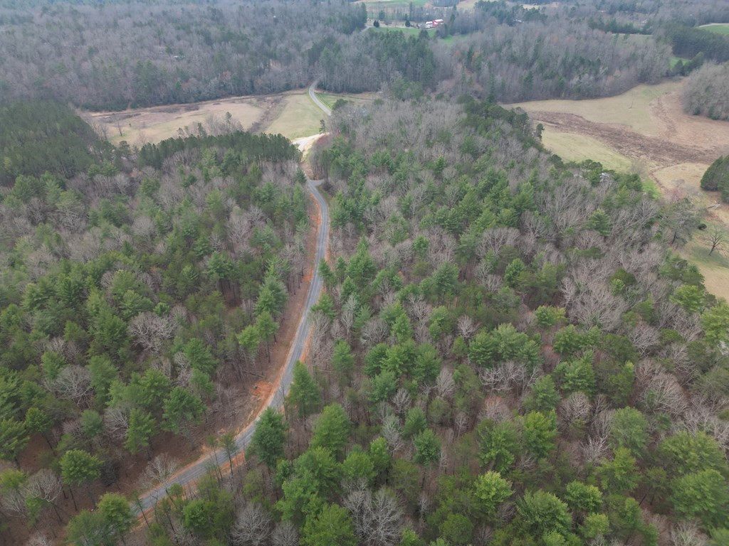 Lot #29 Liberty Road Murphy, NC 28906 - Photo 3 of 3