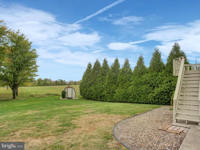 a view of a backyard with large trees