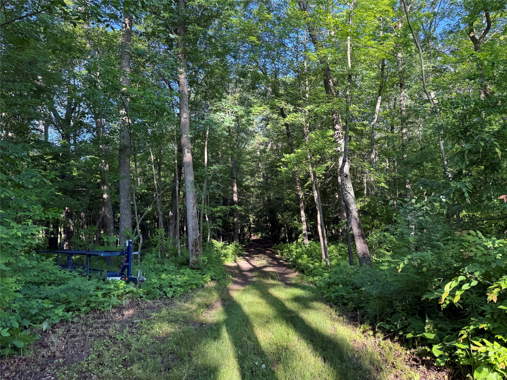 Xxx Sathre Lane Shell Lake, WI 54871 - Photo 22 of 36
