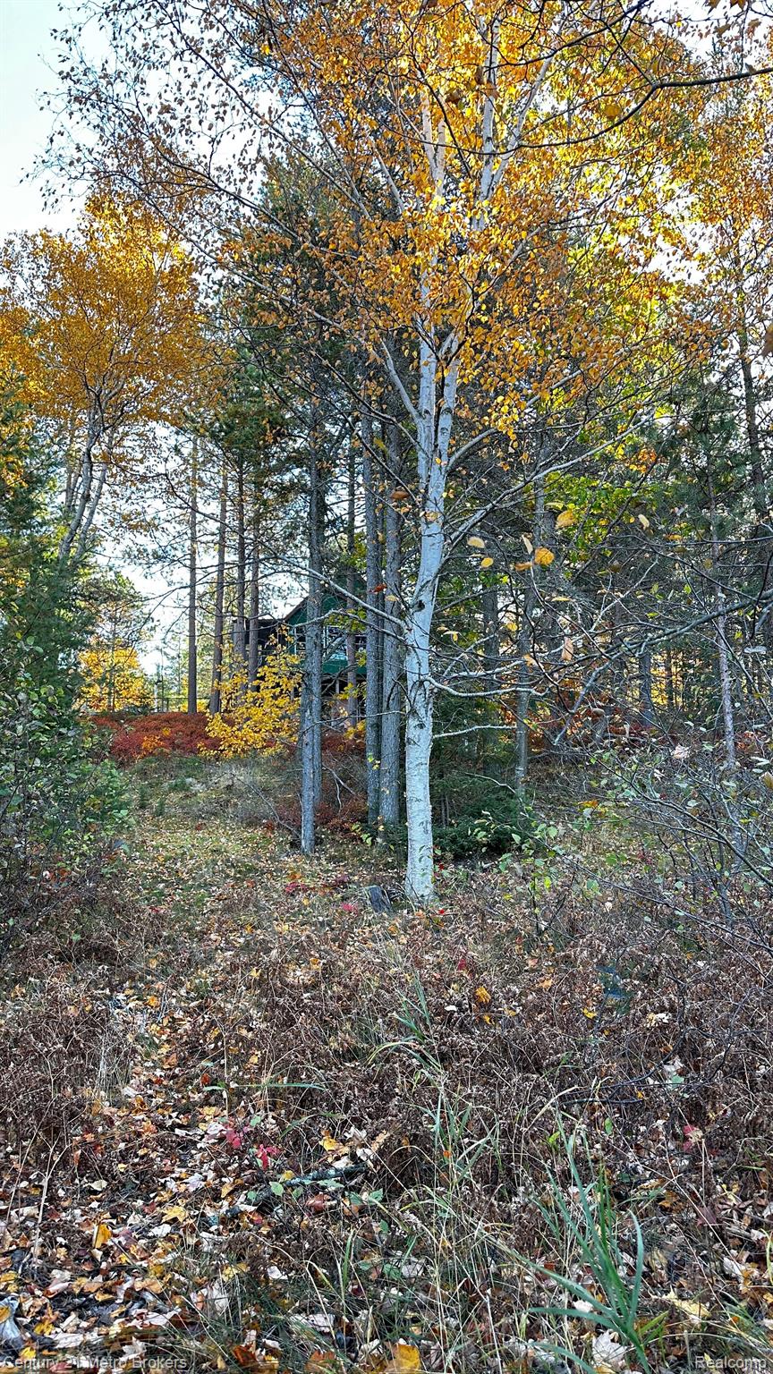 6398 County Road 412 Newberry, MI 49868 - Photo 15 of 81 Gallery Image 15