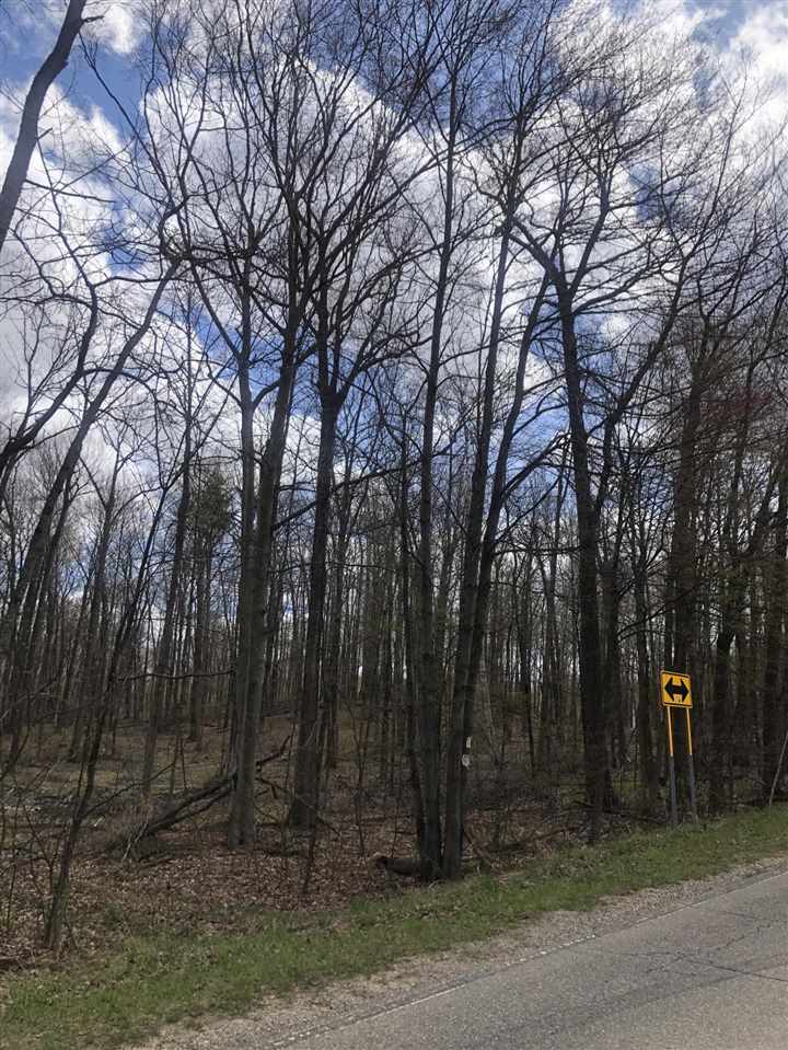 Hillman Road Stanton, MI 48888 - Photo 1 of 7