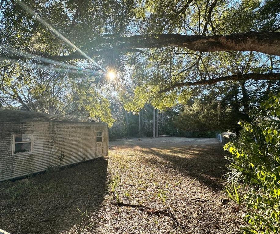 3010 Northeast 98th Lane Anthony, FL 32617 - Photo 17 of 17