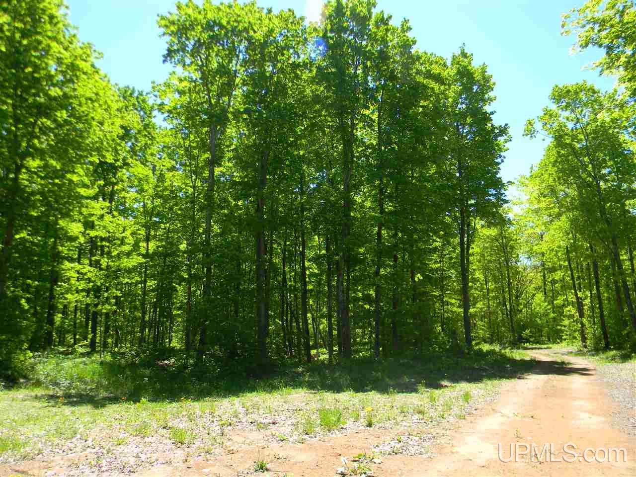 Tbd Rauhala Road, Unit LOT 5 COLES CREEK SUBDIV Atlantic Mine, MI 49931 - Photo 7 of 10
