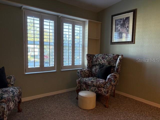 1894 Elizabeth Lane Mount Dora, FL 32757 - Photo 11 of 69 a living room with furniture and a window
