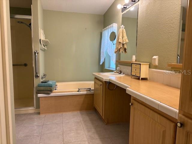 1894 Elizabeth Lane Mount Dora, FL 32757 - Photo 16 of 69 a bathroom with a bathtub sink and mirror