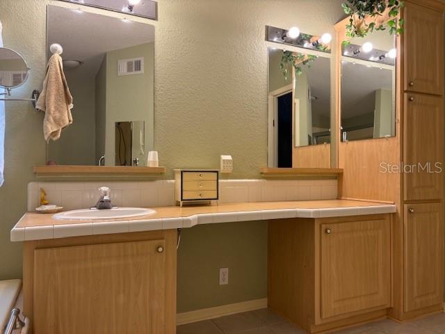 1894 Elizabeth Lane Mount Dora, FL 32757 - Photo 17 of 69 a bathroom with a sink and a mirror