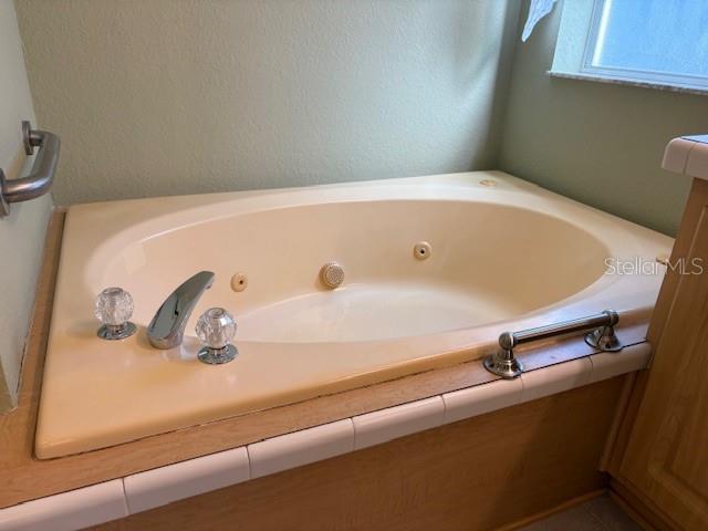 1894 Elizabeth Lane Mount Dora, FL 32757 - Photo 19 of 69