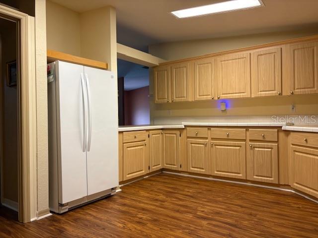 1894 Elizabeth Lane Mount Dora, FL 32757 - Photo 24 of 69 a kitchen with stainless steel appliances granite countertop a refrigerator and cabinets