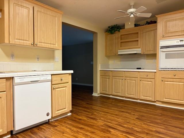 1894 Elizabeth Lane Mount Dora, FL 32757 - Photo 27 of 69 a kitchen with granite countertop white cabinets and sink
