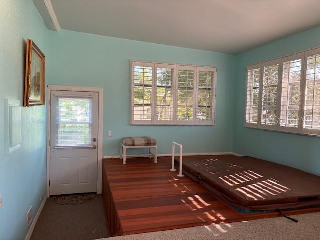 1894 Elizabeth Lane Mount Dora, FL 32757 - Photo 37 of 69 a view of room with window wooden floor and windows