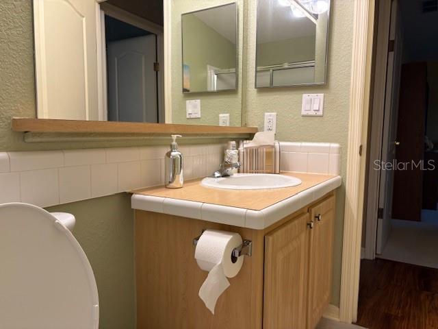 1894 Elizabeth Lane Mount Dora, FL 32757 - Photo 45 of 69 a bathroom with a sink and a mirror