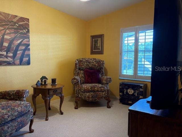 1894 Elizabeth Lane Mount Dora, FL 32757 - Photo 47 of 69 a bedroom with bed and a window