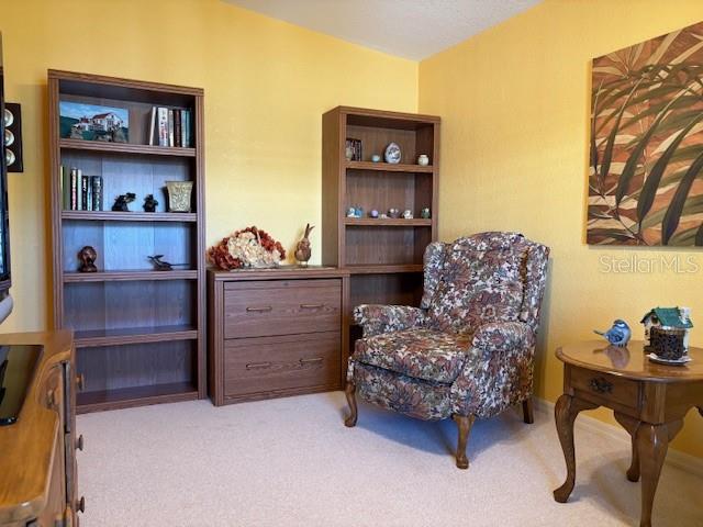 1894 Elizabeth Lane Mount Dora, FL 32757 - Photo 48 of 69 a living room with furniture and a bed
