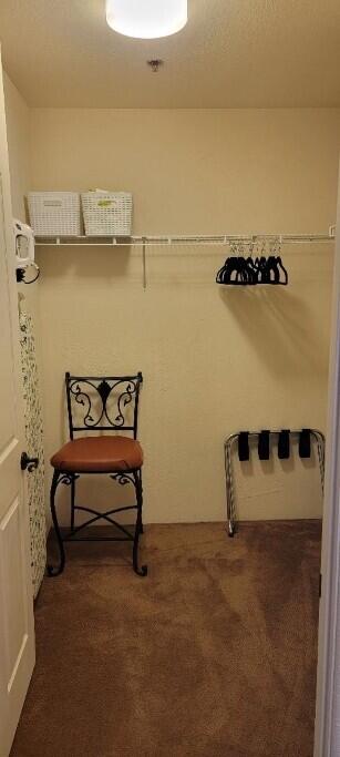 50680 Santa Rosa Plaza, Unit 4 La Quinta, CA 92253 - Photo 12 of 16 Primary Closet