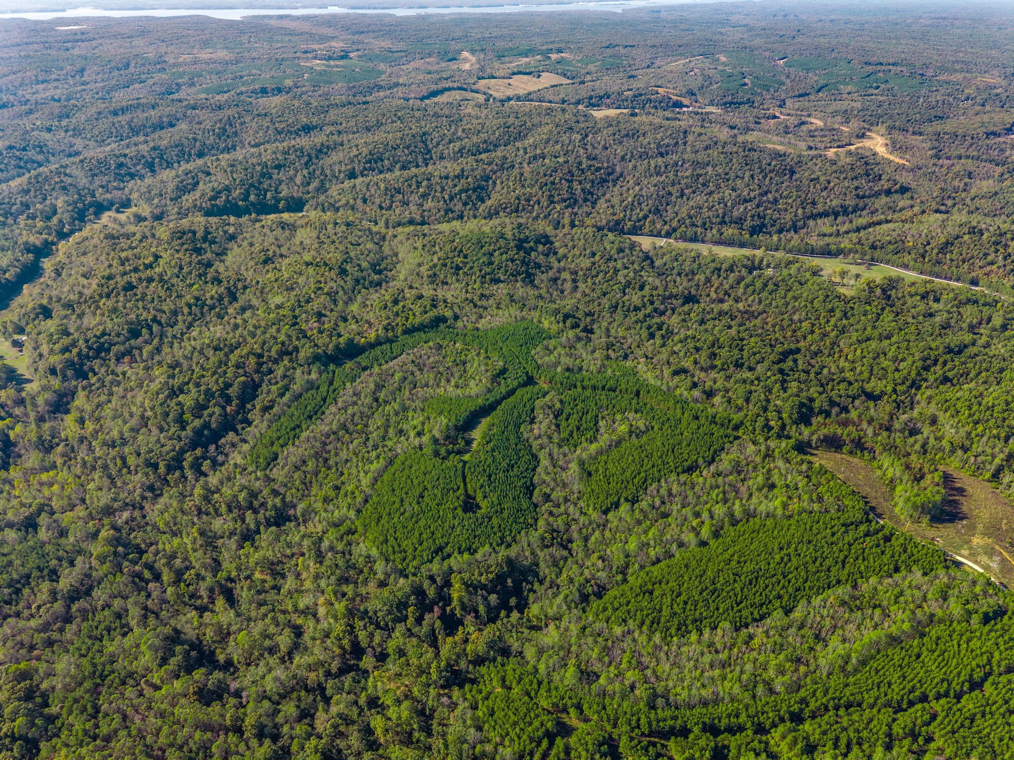 0 Cox Hollow Road Dover, TN 37058 - Photo 12 of 44 an aerial view of residential houses with outdoor space and trees